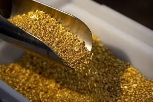 پیش بینی قیمت طلا فردا دوشنبه ۱۲ خرداد ۱۴۰۴ | قیمت طلا فردا راحت سقوط می کند؟ + پیش بینی قیمت سکه